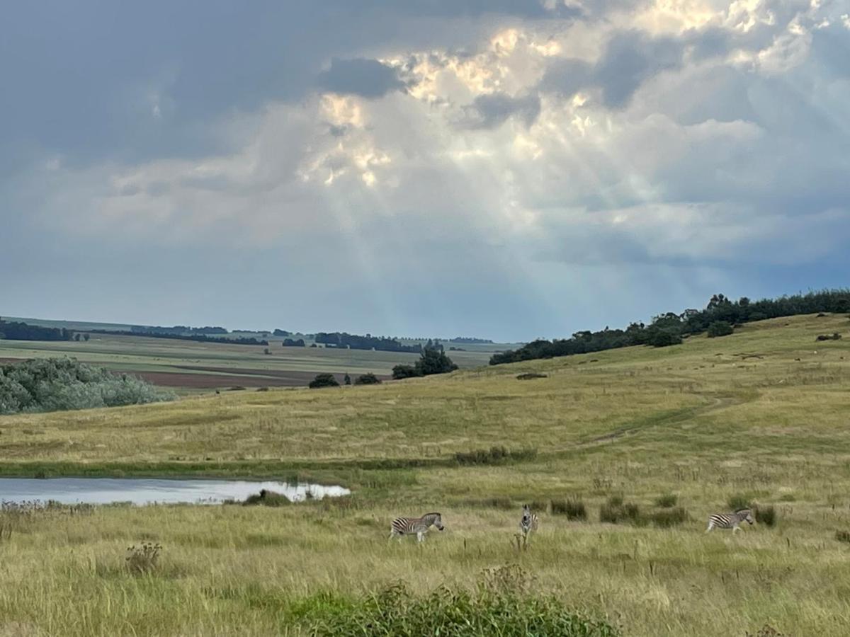 Holbank River Lodge Ermelo Zewnętrze zdjęcie